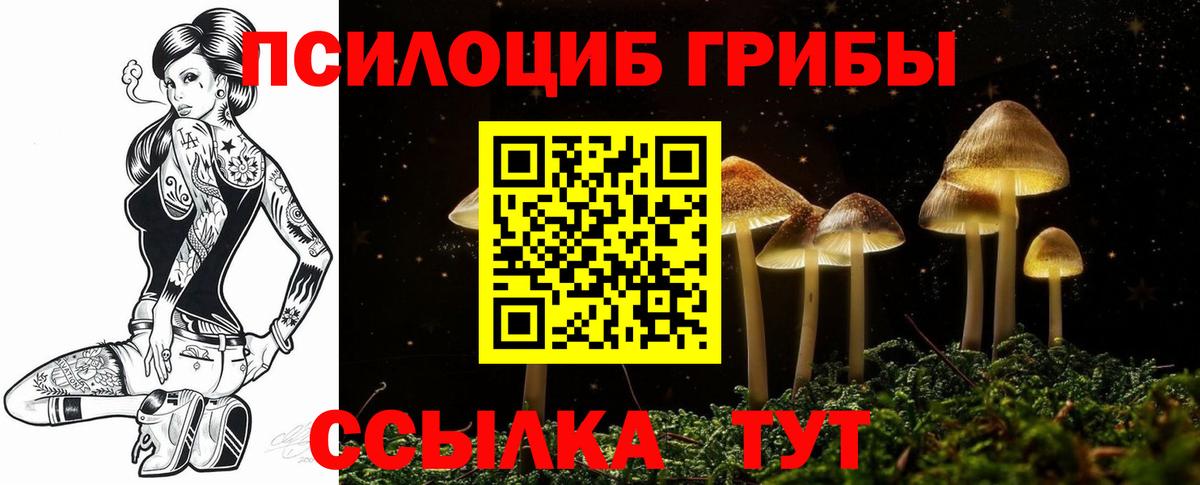 Галлюциногенные грибы мицелий Берёзовский
