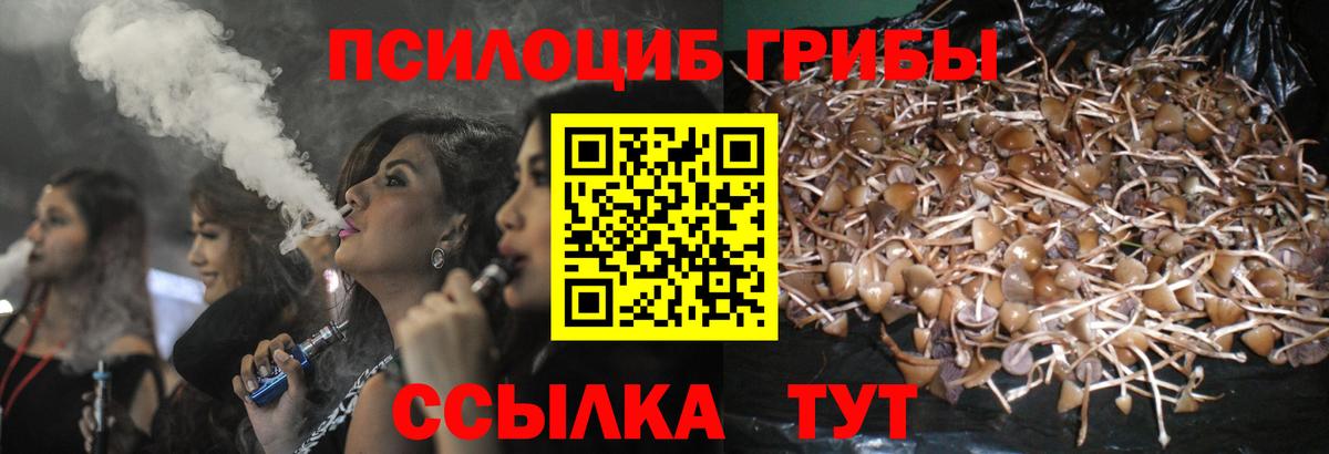 купить  цена  Вход с VPN  Берёзовский  Псилоцибиновые грибы MAGIC MUSHROOMS 