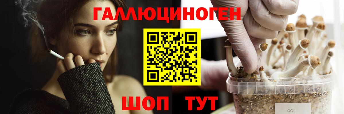 Бошки Шишки  ГАШ  Берёзовский  НБОМе  МДМА  Alpha-PVP СК кристаллы  Метамфетамин  ГАШ  Лсд 25  Меф  Вход с VPN  COCAIN  Меф кристаллы 